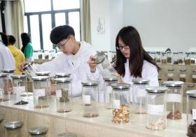 超微粉碎機在多個(gè)領(lǐng)域中的重要用途